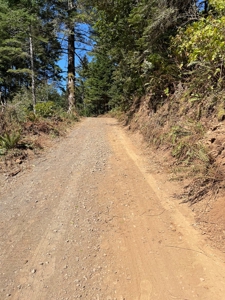 5 acres for Sale Gold Beach, OR - image 11