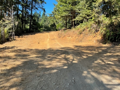 5 acres for Sale Gold Beach, OR - image 10