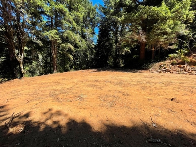 5 acres for Sale Gold Beach, OR - image 6