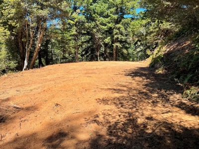 5 acres for Sale Gold Beach, OR - image 4