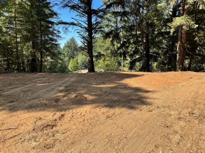 5 acres for Sale Gold Beach, OR - image 9