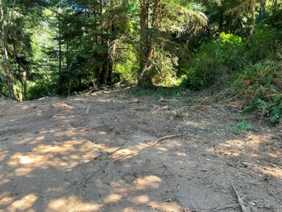 5 acres for Sale Gold Beach, OR - image 3