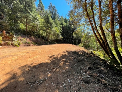 5 acres for Sale Gold Beach, OR - image 5