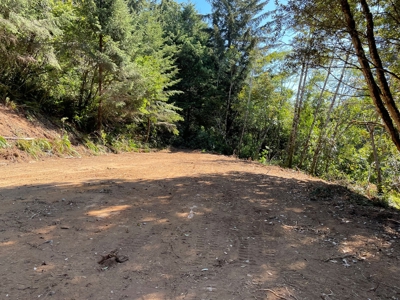 5 acres for Sale Gold Beach, OR - image 7