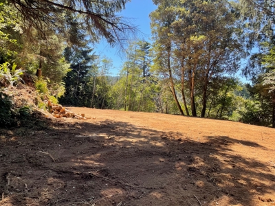 5 acres for Sale Gold Beach, OR - image 1