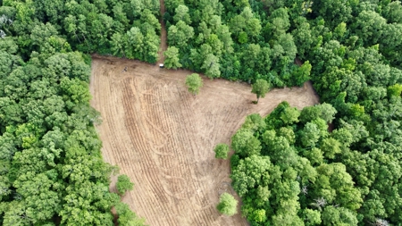 *Reduced* Little Cypress Farm - 160 Acs - Bossier Parish, La - image 29