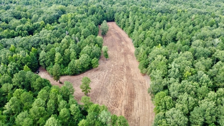 *Reduced* Little Cypress Farm - 160 Acs - Bossier Parish, La - image 7