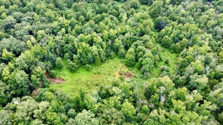 *Reduced* Little Cypress Farm - 160 Acs - Bossier Parish, La - image 15