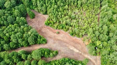 *Reduced* Little Cypress Farm - 160 Acs - Bossier Parish, La - image 9