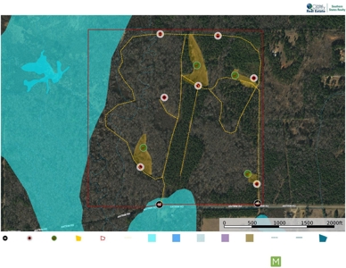 *Reduced* Little Cypress Farm - 160 Acs - Bossier Parish, La - image 44