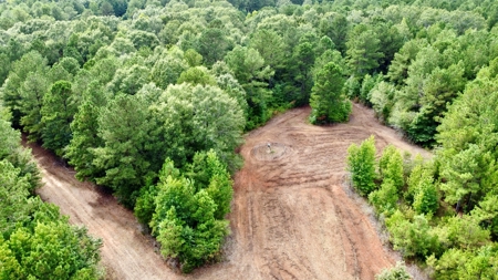 *Reduced* Little Cypress Farm - 160 Acs - Bossier Parish, La - image 35