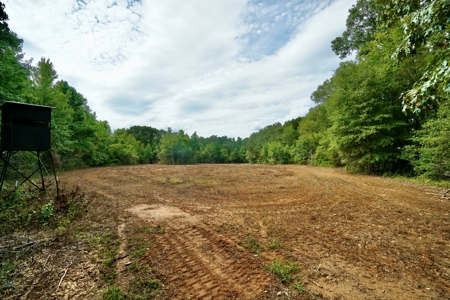 *Reduced* Little Cypress Farm - 160 Acs - Bossier Parish, La - image 26