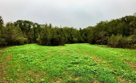 *Reduced* Little Cypress Farm - 160 Acs - Bossier Parish, La - image 40