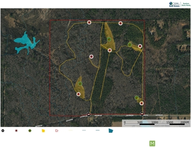 *Reduced* Little Cypress Farm - 160 Acs - Bossier Parish, La - image 43