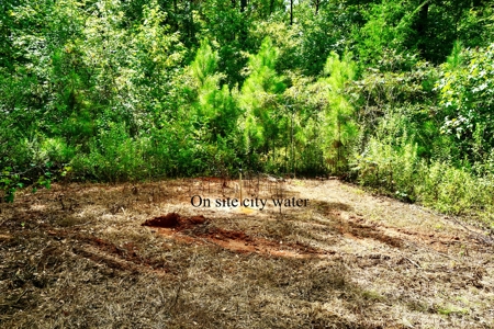 *Reduced* Little Cypress Farm - 160 Acs - Bossier Parish, La - image 5
