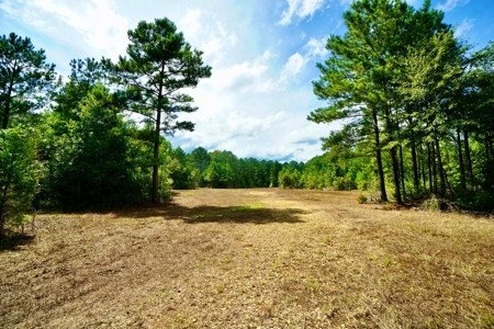 *Reduced* Little Cypress Farm - 160 Acs - Bossier Parish, La - image 12