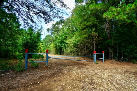 *Reduced* Little Cypress Farm - 160 Acs - Bossier Parish, La - image 4
