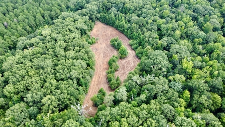 *Reduced* Little Cypress Farm - 160 Acs - Bossier Parish, La - image 13
