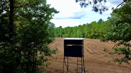 *Reduced* Little Cypress Farm - 160 Acs - Bossier Parish, La - image 11