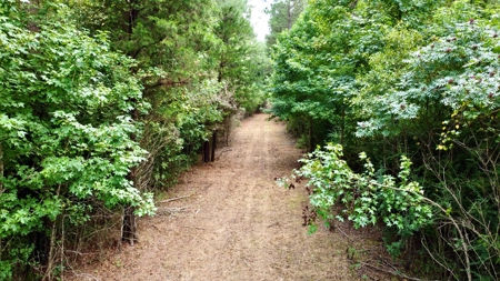 *Reduced* Little Cypress Farm - 160 Acs - Bossier Parish, La - image 33