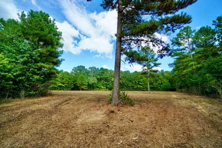 *Reduced* Little Cypress Farm - 160 Acs - Bossier Parish, La - image 21