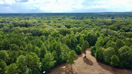 *Reduced* Little Cypress Farm - 160 Acs - Bossier Parish, La - image 36