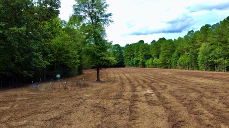 *Reduced* Little Cypress Farm - 160 Acs - Bossier Parish, La - image 34