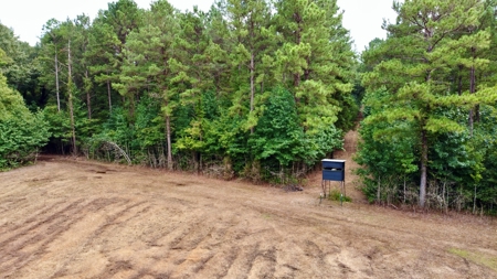 *Reduced* Little Cypress Farm - 160 Acs - Bossier Parish, La - image 10