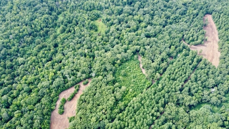 *Reduced* Little Cypress Farm - 160 Acs - Bossier Parish, La - image 31