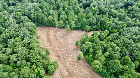 *Reduced* Little Cypress Farm - 160 Acs - Bossier Parish, La - image 19