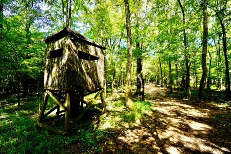 *Reduced* Little Cypress Farm - 160 Acs - Bossier Parish, La - image 17