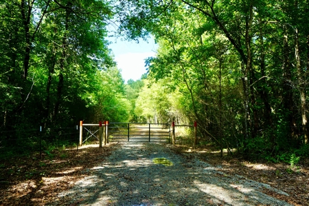 *Reduced* Little Cypress Farm - 160 Acs - Bossier Parish, La - image 2