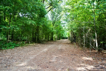 *Reduced* Little Cypress Farm - 160 Acs - Bossier Parish, La - image 23