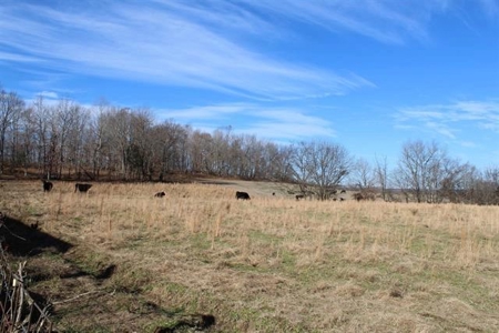 71.77 acre working farm for sale in Barren Co Ky. - image 22