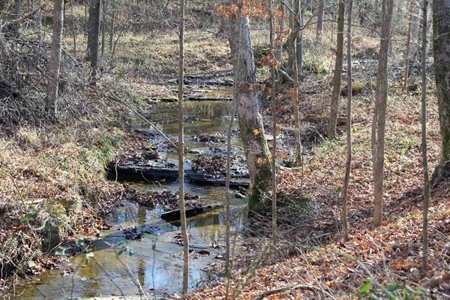 71.77 acre working farm for sale in Barren Co Ky. - image 7