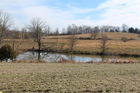71.77 acre working farm for sale in Barren Co Ky. - image 5