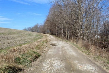 71.77 acre working farm for sale in Barren Co Ky. - image 6