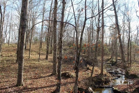 71.77 acre working farm for sale in Barren Co Ky. - image 9