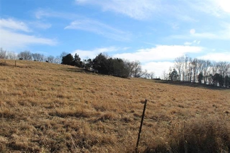 71.77 acre working farm for sale in Barren Co Ky. - image 13