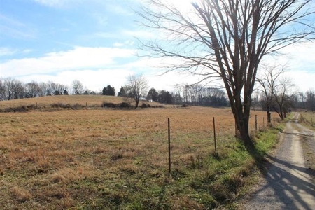 71.77 acre working farm for sale in Barren Co Ky. - image 10