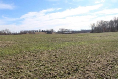 71.77 acre working farm for sale in Barren Co Ky. - image 2