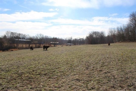71.77 acre working farm for sale in Barren Co Ky. - image 3