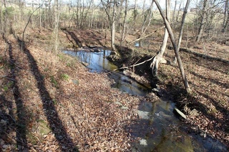 71.77 acre working farm for sale in Barren Co Ky. - image 8