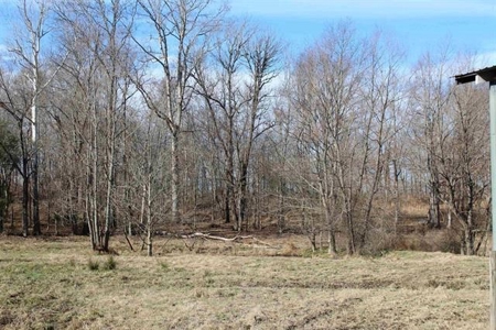 71.77 acre working farm for sale in Barren Co Ky. - image 21