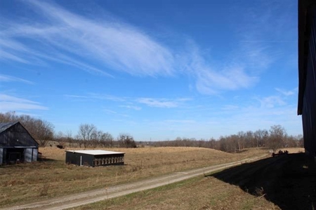 71.77 acre working farm for sale in Barren Co Ky. - image 16