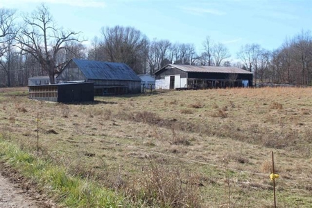 71.77 acre working farm for sale in Barren Co Ky. - image 11