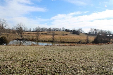 71.77 acre working farm for sale in Barren Co Ky. - image 4