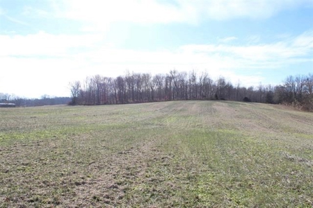71.77 acre working farm for sale in Barren Co Ky. - image 1