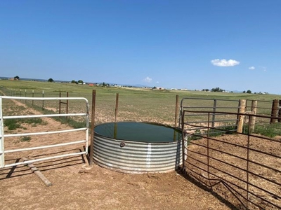 Moriarty, New Mexico Horse Property with Home For Sale - image 27
