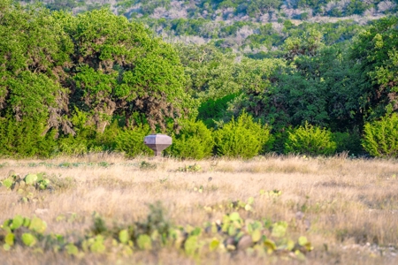 Year Round Live Water Ranch For Sale in Texas Hill Country - image 36